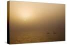 Stretched Canvas