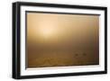 Black Frame