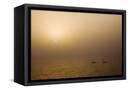 Canvas Black