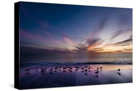 Sunset on Anna Marie Island on Florida's Gulf Coast Florida, USA-Richard Duval-Stretched Canvas