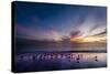 Sunset on Anna Marie Island on Florida's Gulf Coast Florida, USA-Richard Duval-Stretched Canvas