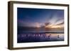 Sunset on Anna Marie Island on Florida's Gulf Coast Florida, USA-Richard Duval-Framed Photographic Print