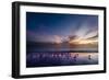 Sunset on Anna Marie Island on Florida's Gulf Coast Florida, USA-Richard Duval-Framed Photographic Print