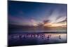 Sunset on Anna Marie Island on Florida's Gulf Coast Florida, USA-Richard Duval-Mounted Photographic Print