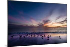 Sunset on Anna Marie Island on Florida's Gulf Coast Florida, USA-Richard Duval-Mounted Photographic Print