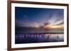 Sunset on Anna Marie Island on Florida's Gulf Coast Florida, USA-Richard Duval-Framed Photographic Print
