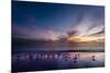 Sunset on Anna Marie Island on Florida's Gulf Coast Florida, USA-Richard Duval-Mounted Photographic Print