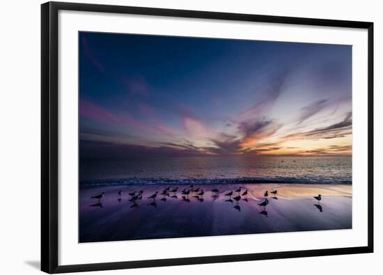 Sunset on Anna Marie Island on Florida's Gulf Coast Florida, USA-Richard Duval-Framed Photographic Print