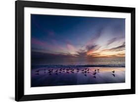 Sunset on Anna Marie Island on Florida's Gulf Coast Florida, USA-Richard Duval-Framed Photographic Print