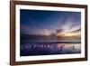 Sunset on Anna Marie Island on Florida's Gulf Coast Florida, USA-Richard Duval-Framed Photographic Print