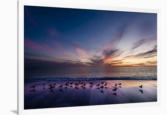 Sunset on Anna Marie Island on Florida's Gulf Coast Florida, USA-Richard Duval-Framed Photographic Print