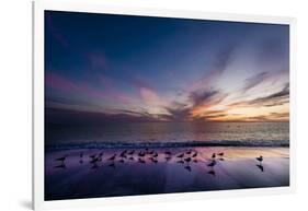 Sunset on Anna Marie Island on Florida's Gulf Coast Florida, USA-Richard Duval-Framed Photographic Print