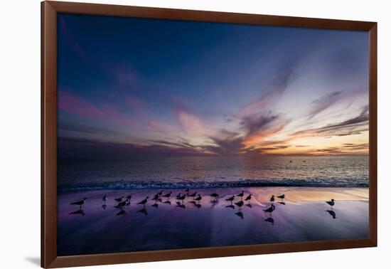 Sunset on Anna Marie Island on Florida's Gulf Coast Florida, USA-Richard Duval-Framed Photographic Print