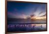 Sunset on Anna Marie Island on Florida's Gulf Coast Florida, USA-Richard Duval-Framed Premium Photographic Print