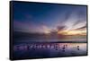 Sunset on Anna Marie Island on Florida's Gulf Coast Florida, USA-Richard Duval-Framed Stretched Canvas