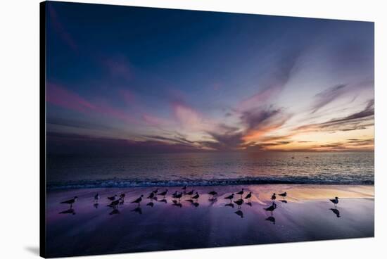 Sunset on Anna Marie Island on Florida's Gulf Coast Florida, USA-Richard Duval-Stretched Canvas