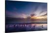 Sunset on Anna Marie Island on Florida's Gulf Coast Florida, USA-Richard Duval-Stretched Canvas