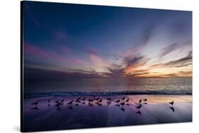 Sunset on Anna Marie Island on Florida's Gulf Coast Florida, USA-Richard Duval-Stretched Canvas