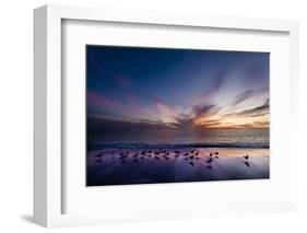 Sunset on Anna Marie Island on Florida's Gulf Coast Florida, USA-Richard Duval-Framed Photographic Print