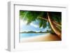 Sunset on Beach Anse Takamaka of Mahe Island, Seychelles-Iakov Kalinin-Framed Photographic Print