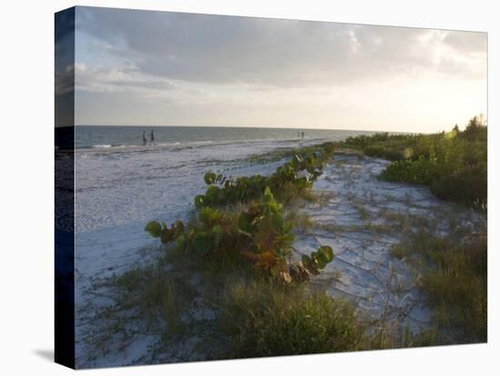 Sunset on Beach, Sanibel Island, Gulf Coast, Florida, United States of America, North America-Robert Harding-Stretched Canvas