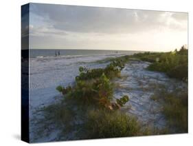 Sunset on Beach, Sanibel Island, Gulf Coast, Florida, United States of America, North America-Robert Harding-Stretched Canvas