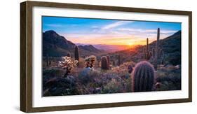 Sunset on Bell Pass in the Majestic Mcdowell Mountains-Eric Mischke-Framed Photographic Print