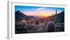 Sunset on Bell Pass in the Majestic Mcdowell Mountains-Eric Mischke-Framed Photographic Print