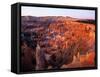 Sunset on Bryce Canyon, Utah, USA-Janis Miglavs-Framed Stretched Canvas