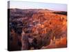 Sunset on Bryce Canyon, Utah, USA-Janis Miglavs-Stretched Canvas