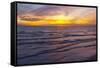 Sunset on Crescent Beach, Siesta Key, Sarasota, Florida, USA-Bernard Friel-Framed Stretched Canvas