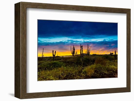 Sunset on Isabella Island, Galapagos Islands, Ecuador, South America-Laura Grier-Framed Photographic Print