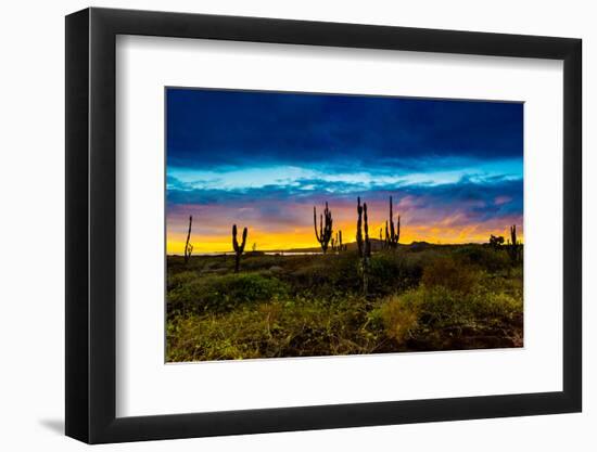 Sunset on Isabella Island, Galapagos Islands, Ecuador, South America-Laura Grier-Framed Photographic Print