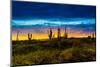 Sunset on Isabella Island, Galapagos Islands, Ecuador, South America-Laura Grier-Mounted Photographic Print
