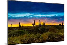 Sunset on Isabella Island, Galapagos Islands, Ecuador, South America-Laura Grier-Mounted Photographic Print