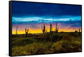 Sunset on Isabella Island, Galapagos Islands, Ecuador, South America-Laura Grier-Framed Stretched Canvas