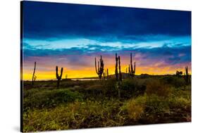 Sunset on Isabella Island, Galapagos Islands, Ecuador, South America-Laura Grier-Stretched Canvas