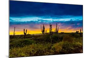 Sunset on Isabella Island, Galapagos Islands, Ecuador, South America-Laura Grier-Mounted Photographic Print