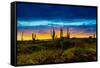 Sunset on Isabella Island, Galapagos Islands, Ecuador, South America-Laura Grier-Framed Stretched Canvas