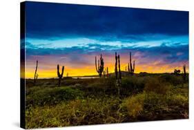 Sunset on Isabella Island, Galapagos Islands, Ecuador, South America-Laura Grier-Stretched Canvas