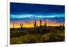 Sunset on Isabella Island, Galapagos Islands, Ecuador, South America-Laura Grier-Framed Photographic Print