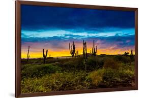 Sunset on Isabella Island, Galapagos Islands, Ecuador, South America-Laura Grier-Framed Photographic Print