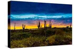 Sunset on Isabella Island, Galapagos Islands, Ecuador, South America-Laura Grier-Stretched Canvas