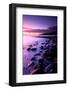 Sunset on Kimmeridge Bay, Isle of Purbeck, Dorset, UK-Ross Hoddinott-Framed Photographic Print