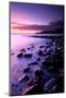 Sunset on Kimmeridge Bay, Isle of Purbeck, Dorset, UK-Ross Hoddinott-Mounted Photographic Print