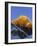 Sunset on Mount Everest, 8850M, Solu Khumbu Everest Region, Sagarmatha National Park, Himalayas-Christian Kober-Framed Photographic Print