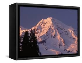 Sunset on Mount Rainier-John McAnulty-Framed Stretched Canvas