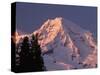 Sunset on Mount Rainier-John McAnulty-Stretched Canvas