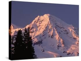 Sunset on Mount Rainier-John McAnulty-Stretched Canvas