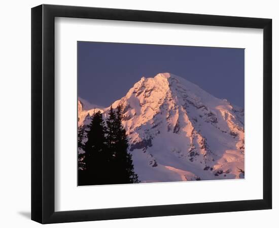 Sunset on Mount Rainier-John McAnulty-Framed Photographic Print